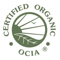 ocia_international_logo.webp